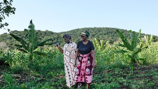 Em Mrima Hill, os moradores temem por seus meios de subsistência, seus santuários sagrados, suas plantas medicinais e pela floresta que conhecem desde sempre — Foto: Tony Karumba/AFP