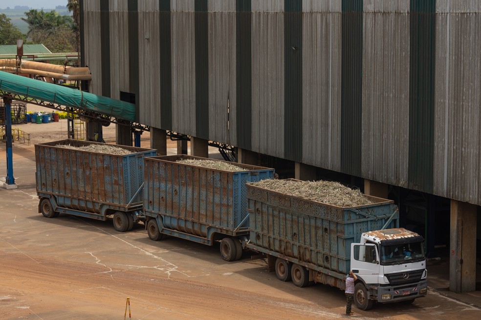 Carreta carregada de cana-de-a&ccedil;&uacute;car para ser processada &mdash; Foto: Jonne Roriz / Bloomberg