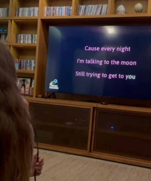 TV room details – Image: Reproduction