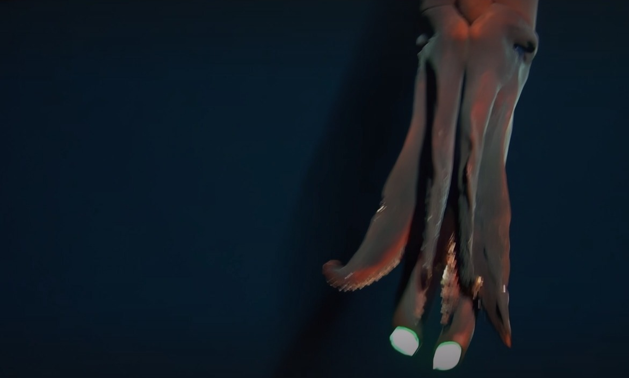 Em raro registro, lula de mar profundo ataca câmera com 'faróis' em tentáculos