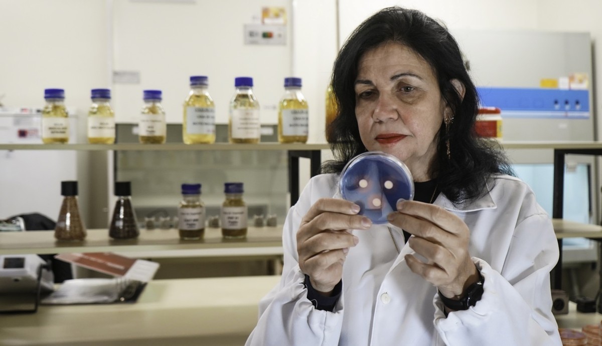 Cientista Brasileira Mariangela Hungria Recebe o Prêmio Mundial de Alimentação: Um Marco para a Ciência e Tecnologia no Brasil
