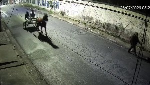 'Me senti em outro século', diz mulher assaltada por homens em charrete em SP