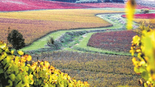 Vinhos de Portugal: um passeio por 3 quintas que estão a cerca de 1 hora de Lisboa