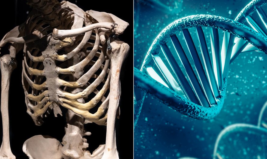 Esqueletos antigos revelam vírus incorporados ao DNA humano há mais de 2,5 mil anos