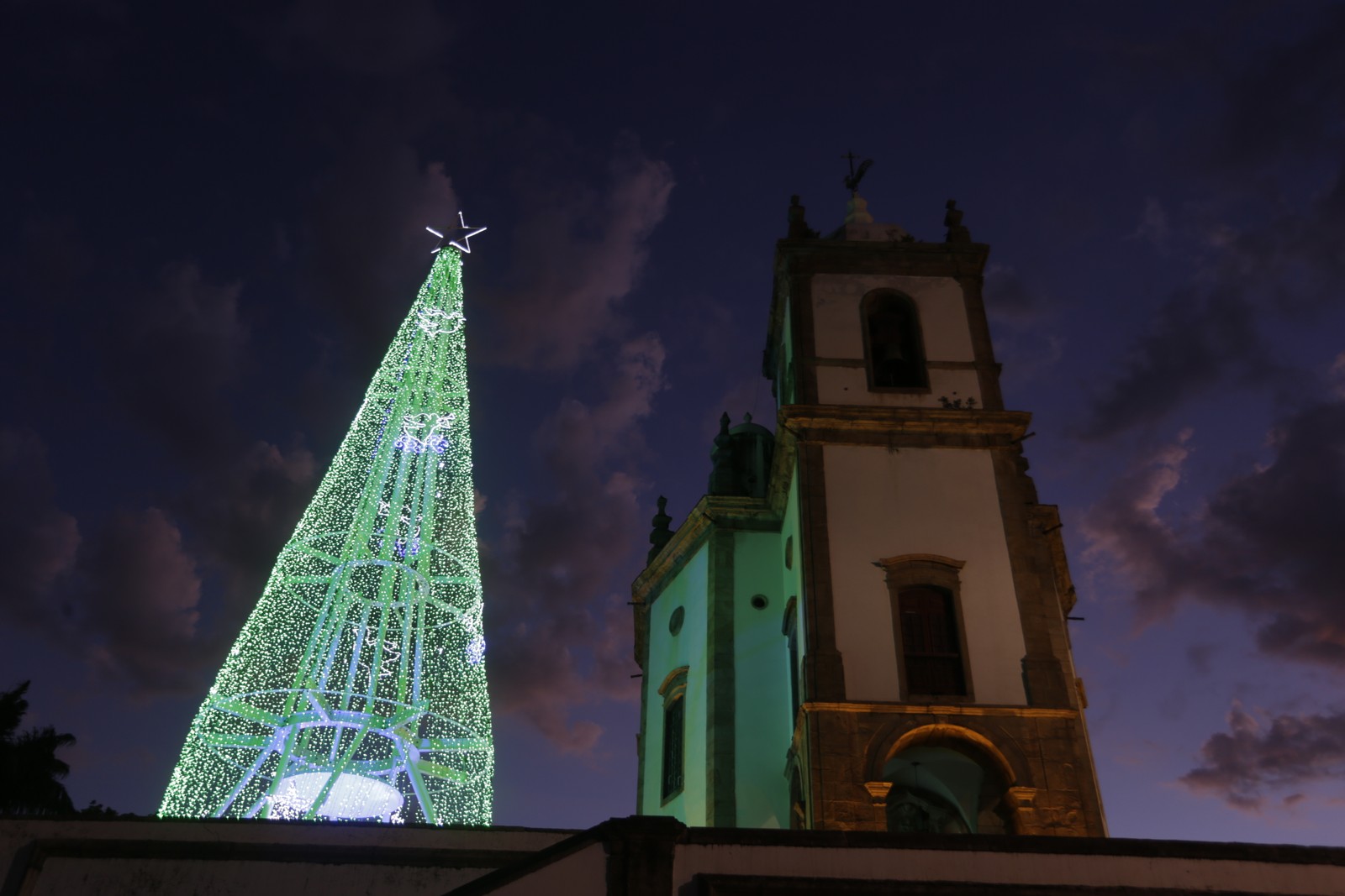 The blue and green tree, from Otero da Gloria - Photography: Domingos Peixoto