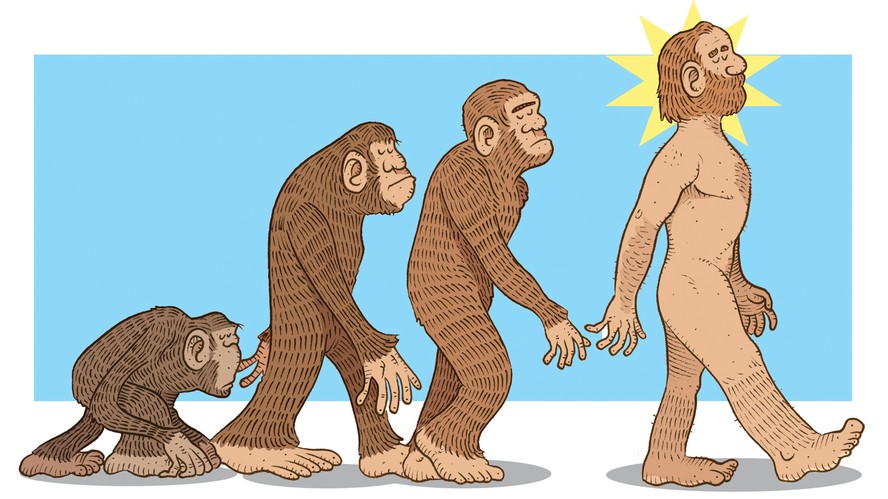 a evolução