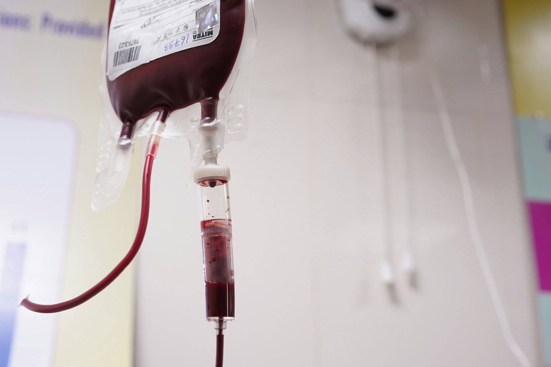 Fundo do Bradesco aumenta fatia no Grupo Pulsa, gigante dos bancos de sangue do BTG