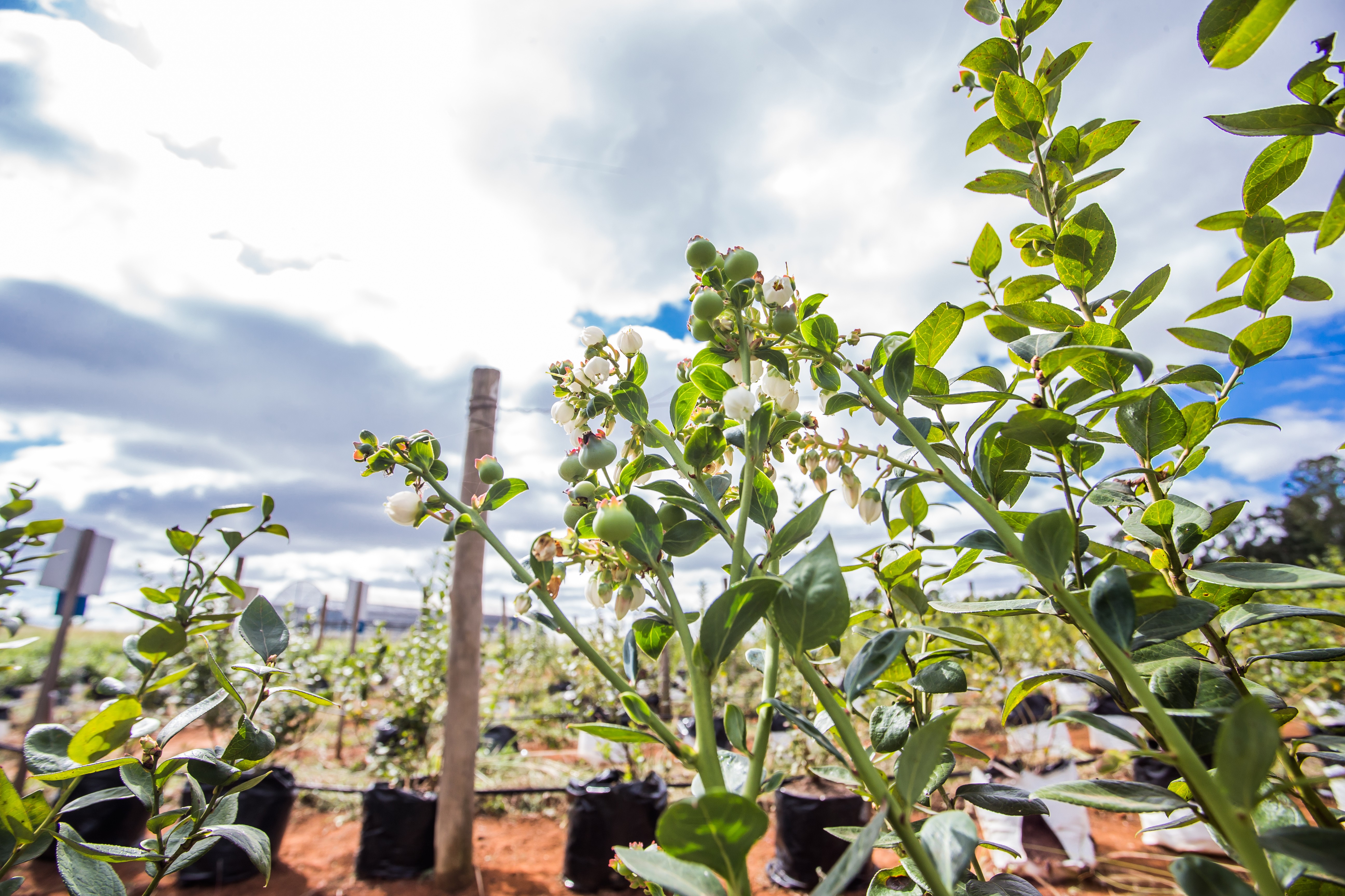 Fechamento de estações meteorológicas prejudica previsão do tempo no país
