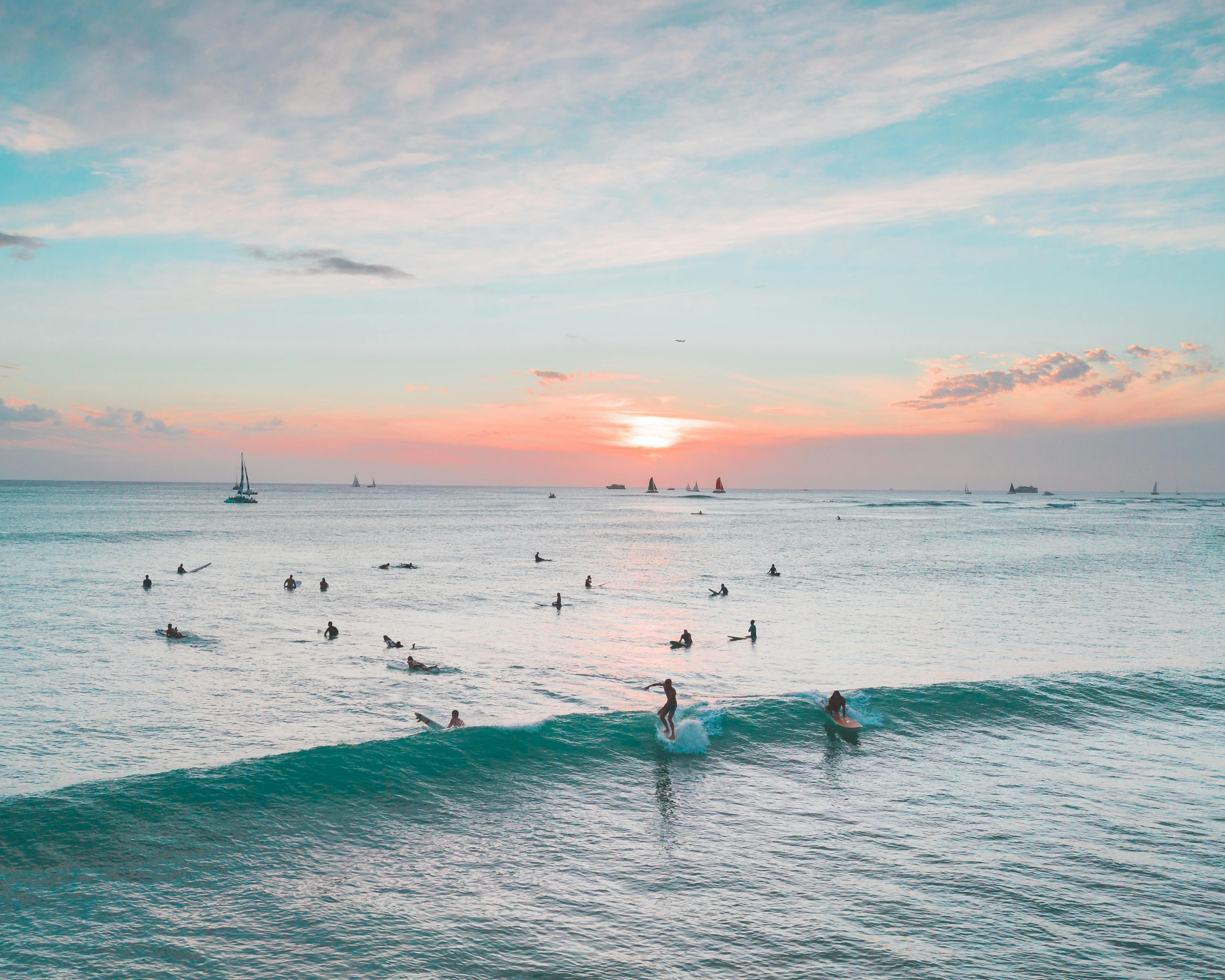 Surfista fica ferido após ataque de tubarão em praia do Havaí; autoridades alertam para animal agressivo na região