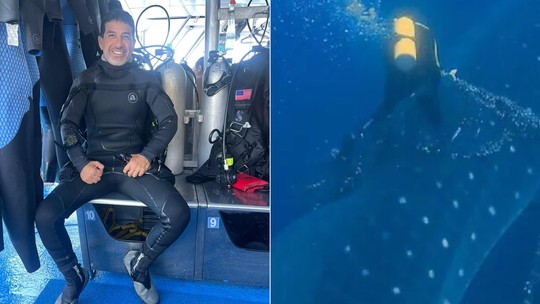 Mergulhador salva tubarão-baleia preso em redes em Galápagos