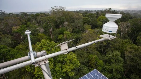 Entenda: Por que cientistas vão bombear CO2 em lotes de floresta na Amazônia?