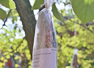 Poesias em garrafas long neck: quem encontrar, pode levar para casa