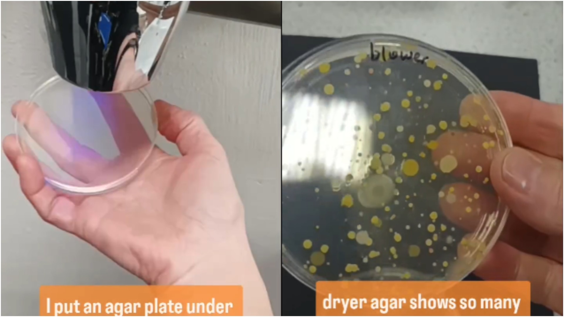 Experimento mostra a quantidade impressionante de bactérias em secadores de mãos elétricos; veja vídeo