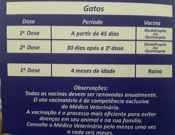 Vacinação é fundamental para a saúde de animais de estimação; veja o ...