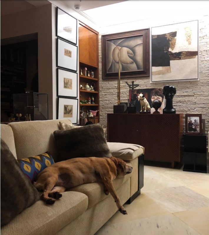 Cão de Sabine dorme no sofá — Foto: Sabine Coll Boghici / Divulgação