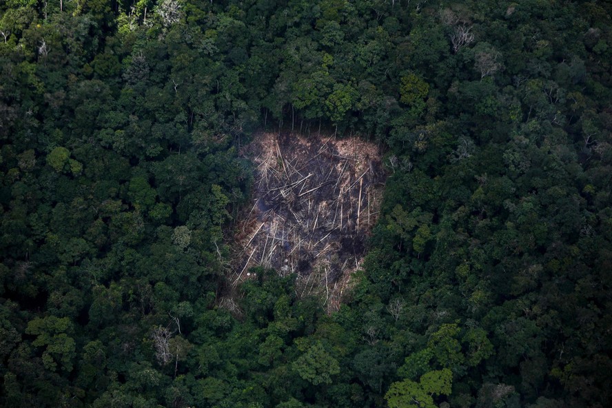 Desmatamento na reserva ianomâmi, em Roraima