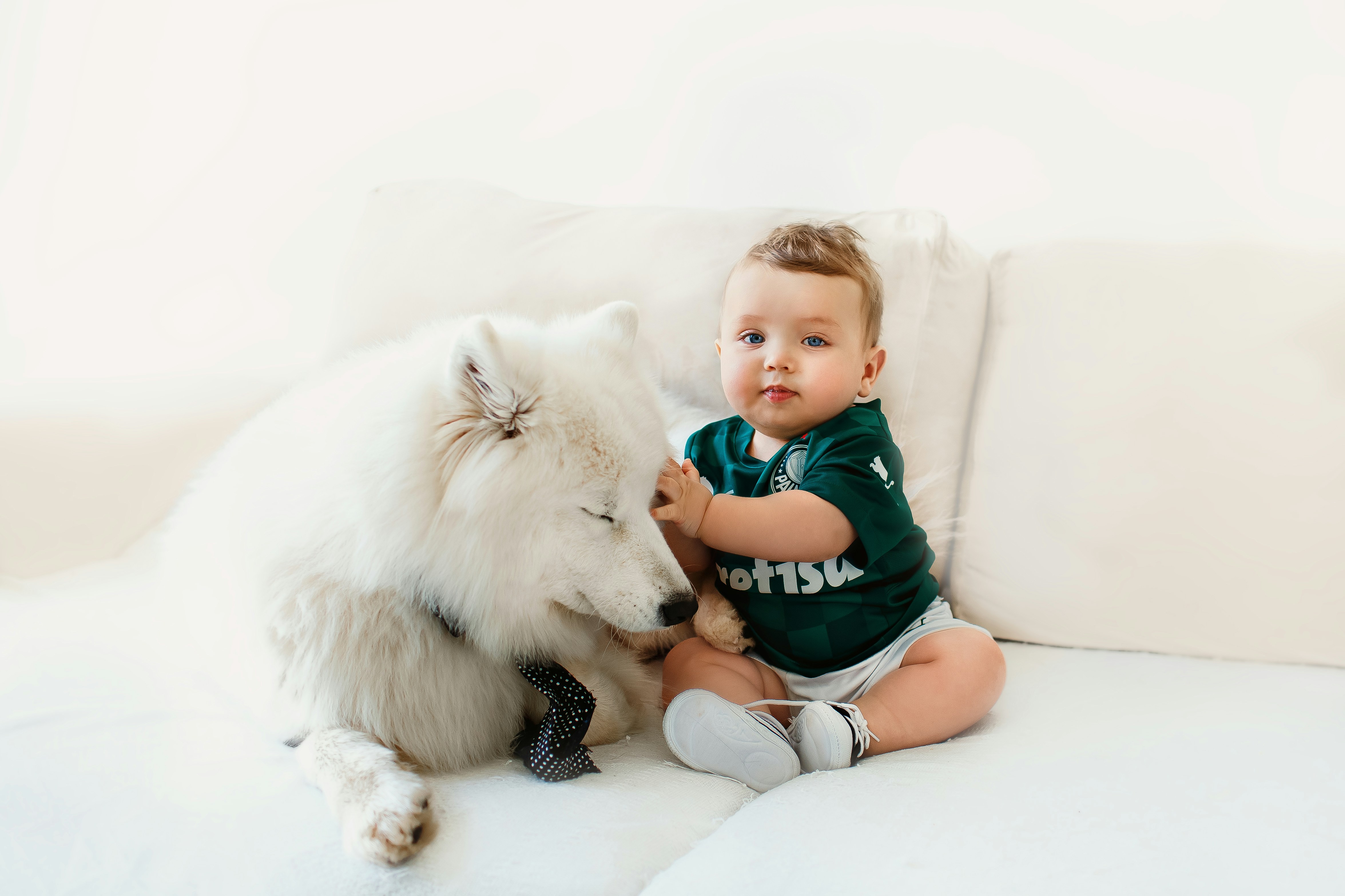 Novo estudo mostra que bebês que vivem em lares com cães usam menos antibióticos; entenda - QTU Questões do Universo