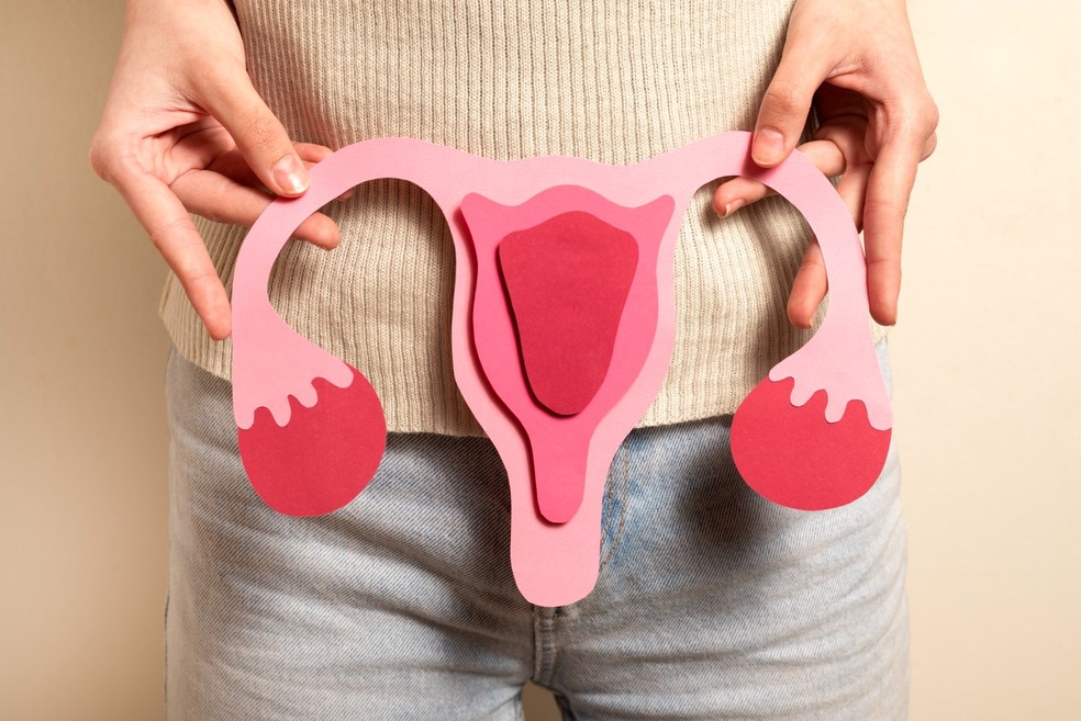 Expert says procedure can delay menopause and increase reproductive autonomy — Photo: Disclosure