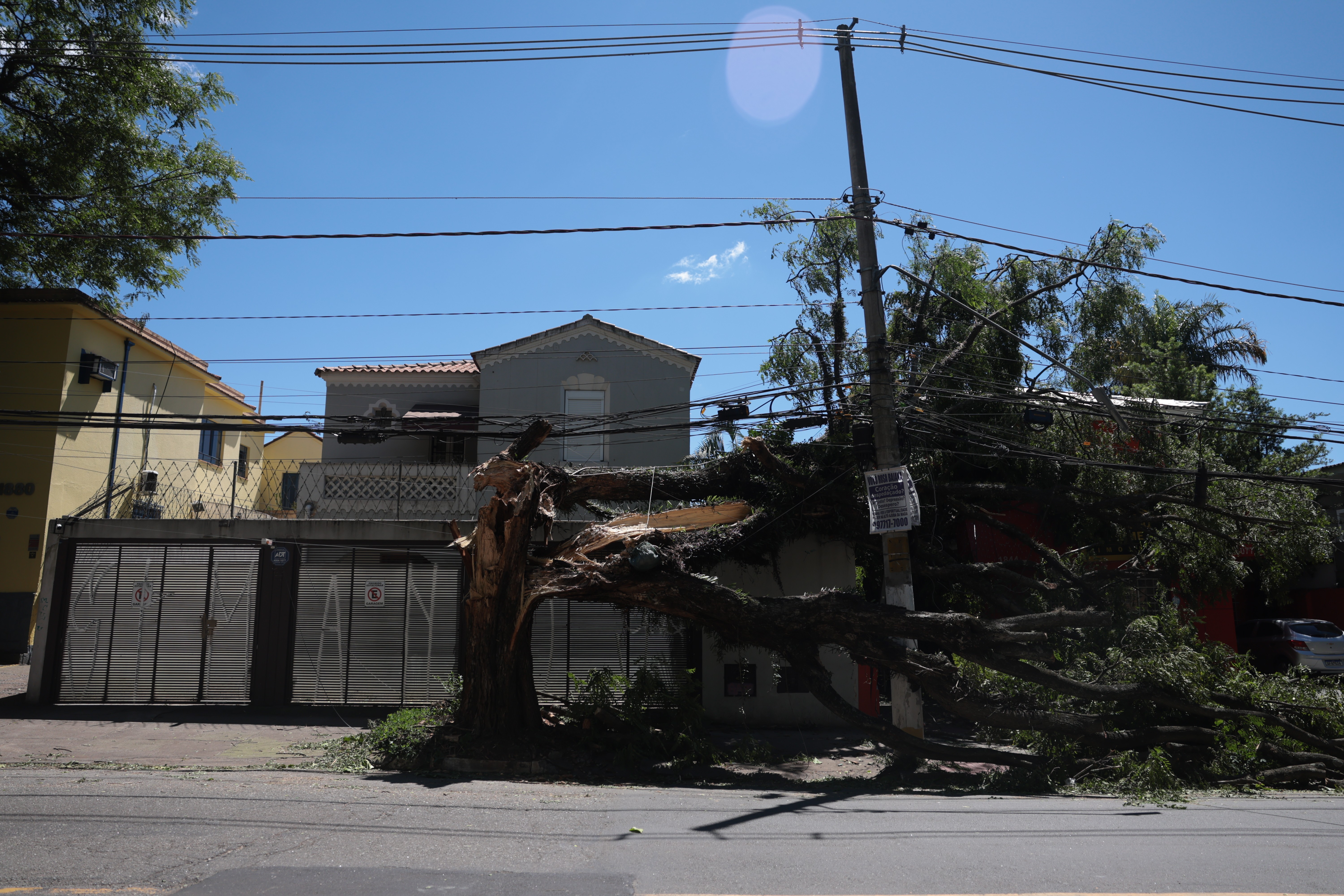 Podas inadequadas transformam verde em dor de cabe&ccedil;a em S&atilde;o Paulo a cada temporal e contribuem para quedas de luz