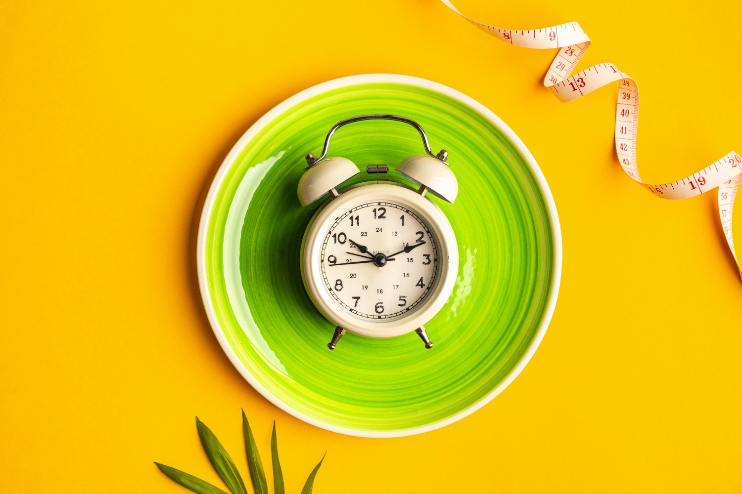 Intermittent Fasting vs. Not Eating: What's the Difference? - News Directory 3