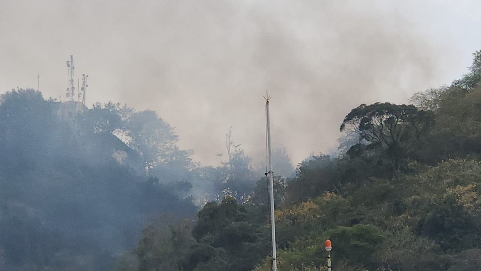 Fogo atinge mata do Morro Dona Marta, do lado de Laranjeiras — Foto: Ana Lúcia Azevedo
