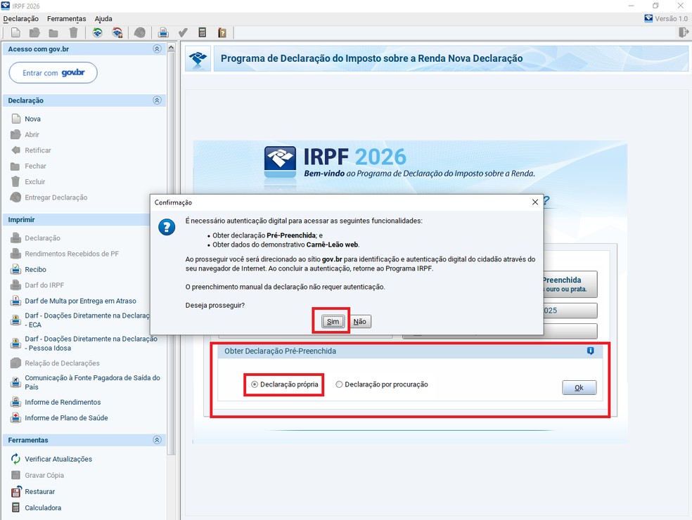 Obter declaração pré-preenchida — Foto: Reprodução