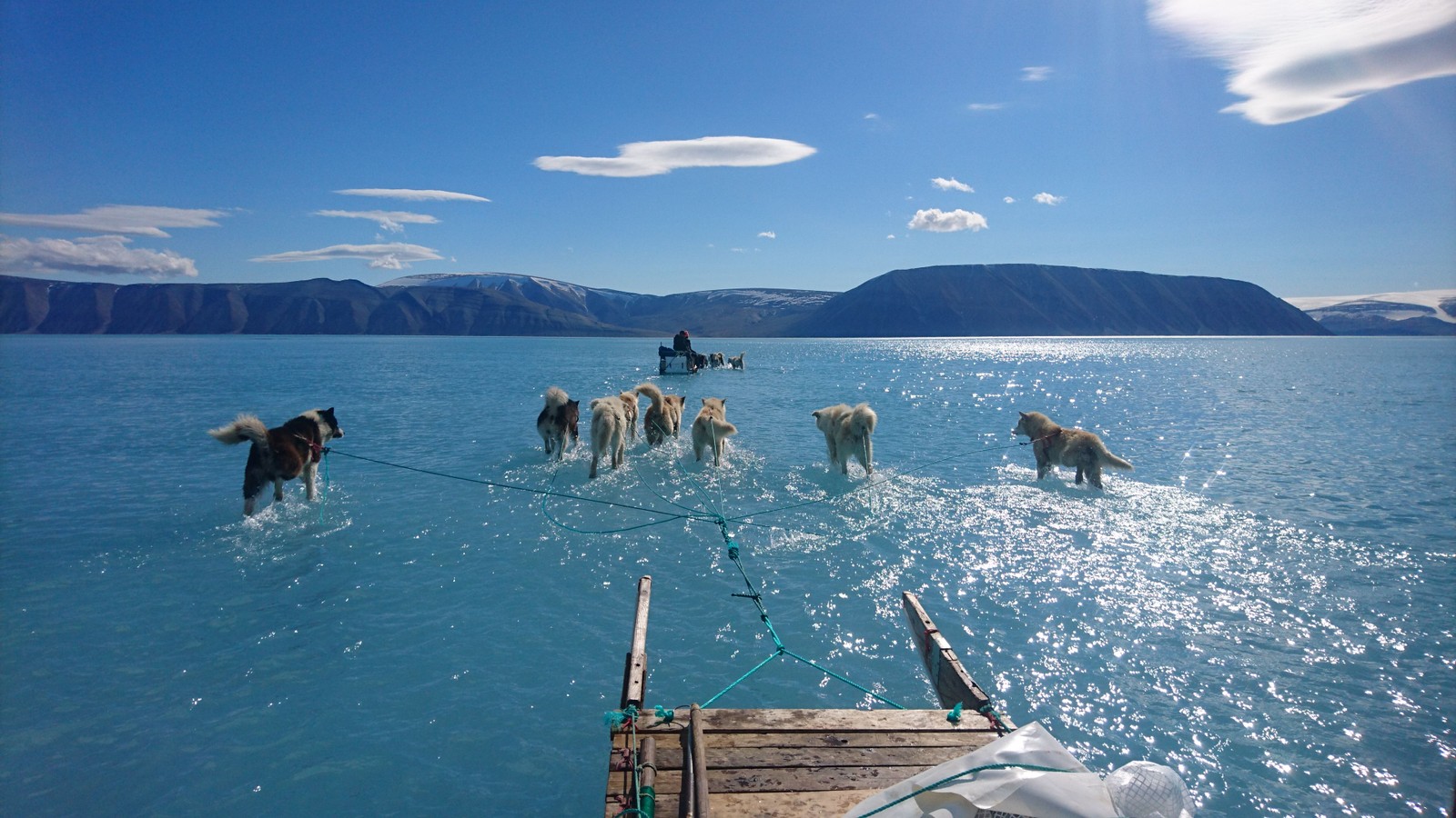 Imagem fotografada por Steffen Olsen, do Centro de Oceano e Gelo do Instituto Meteorolítico Dinamarquês, mostra cães de trenó andando pela água parada no gelo do mar durante uma expedição no noroeste da Groenlândia. Relatório da ONU sobre oceanos e mudanças climáticas destaca efeitos que China, Estados Unidos, União Europeia e Índia enfrentarão AFP 