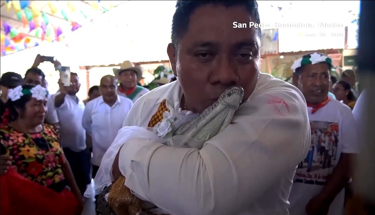 Vestido de noiva, beijo e festa: o casamento mais inusitado do México tem um jacaré como noiva