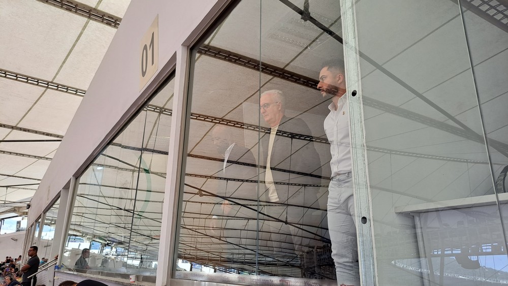 Dorival Jr. é anunciado como novo técnico do Corinthians