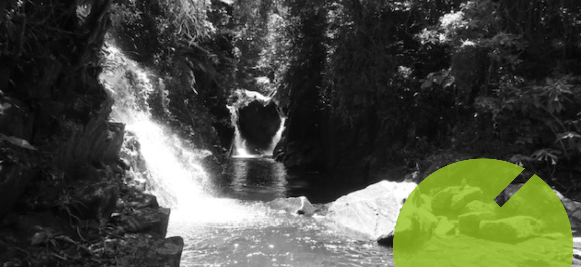 Parque Estadual Cunhambebe é reconhecido como posto avançado da Reserva da Biosfera da Mata Atlântica