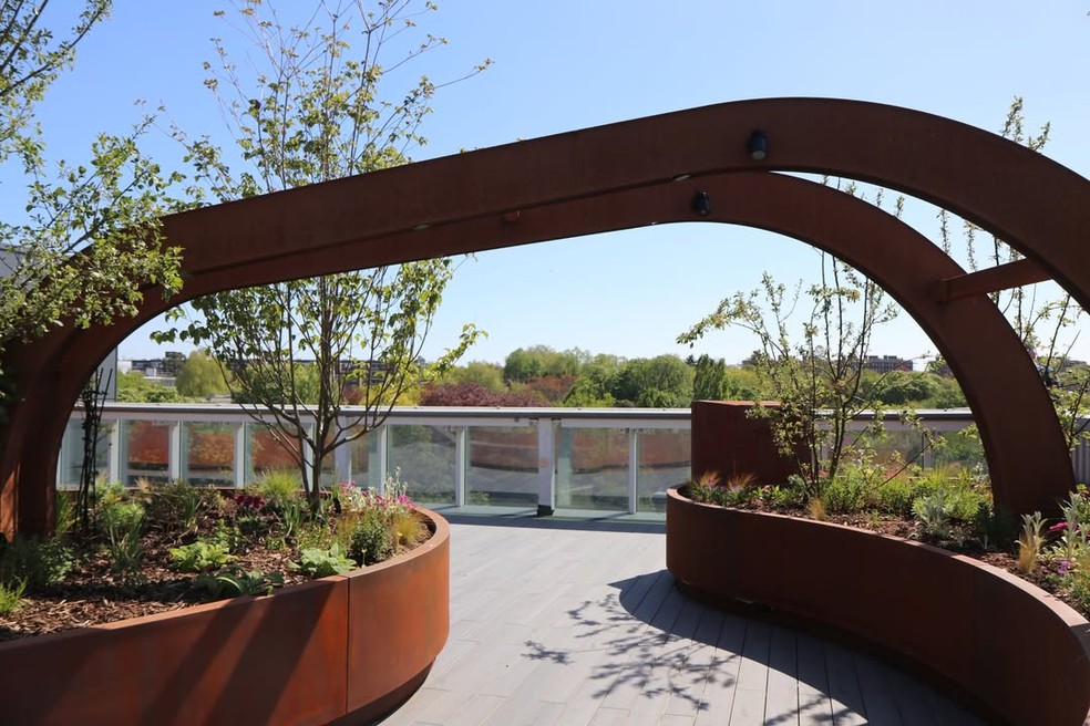 King's College Hospital, em Londres, inaugura jardim no terraço para receber pacientes de unidade de terapia intensiva — Foto: Reprodução / Instagram / @kingscollegehospital