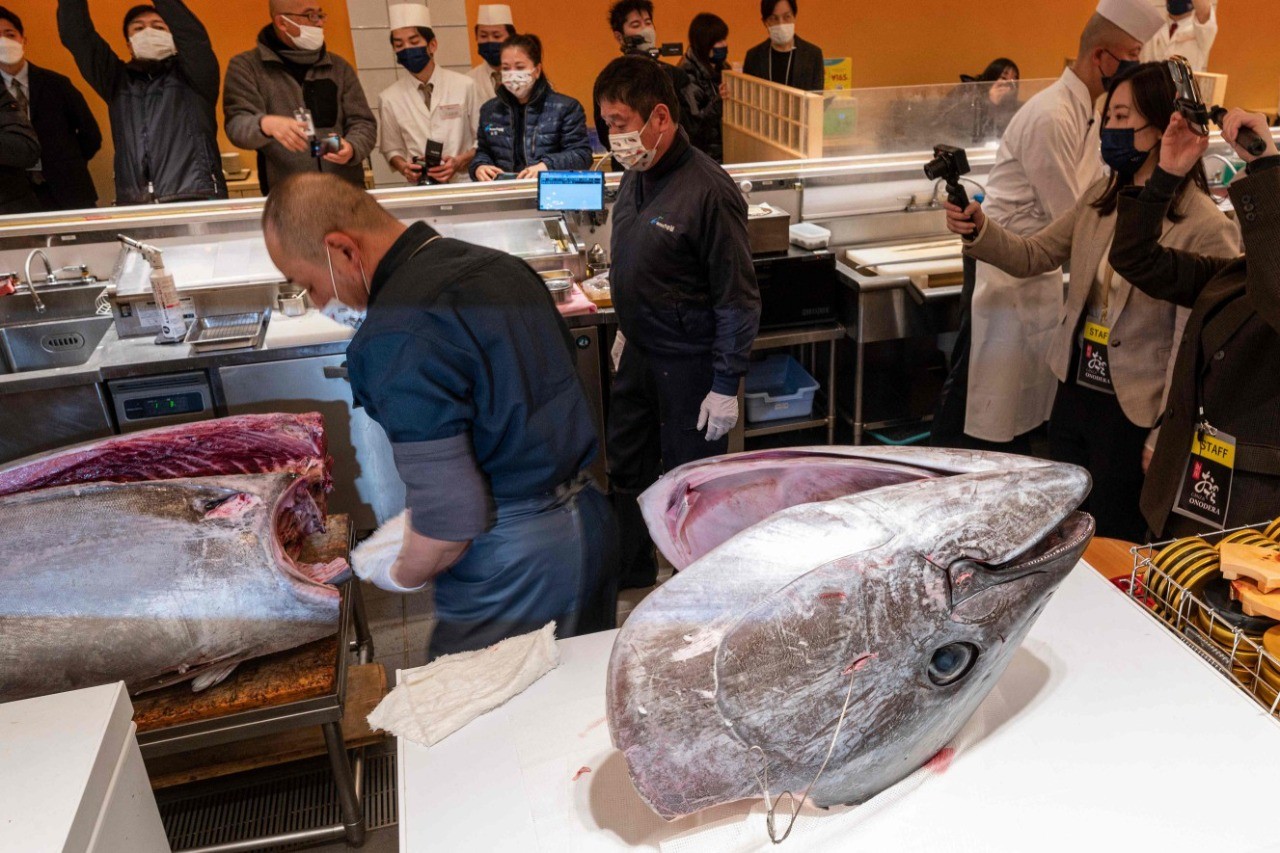 O arremate foi feito pelo grupo atacadista de pescado Yamayuki, com sede em Tóquio, em conjunto com a empresa que opera o restaurante Sushi Ginza Onodera — Foto: Richard Brooks/AFP