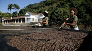 Secagem. As auxiliares de serviços gerais Milena Nascimento e Kaylane Rocha remexem o café exposto ao sol para secagem na Fazenda Alliança — Foto: Custodio Coimbra/Agência O Globo