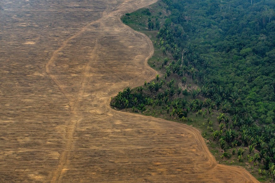 Área desmatada perto de Porto Velho, na Amazônia
