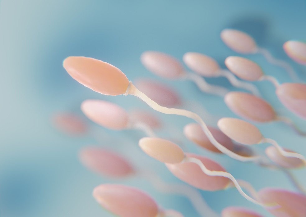 devidoà Formacomo foram preservedos quimicamente, os pesquisadoresnão conseguiram contar os espermatozoides nas amostras nas amostras humanas -foto:freepikik