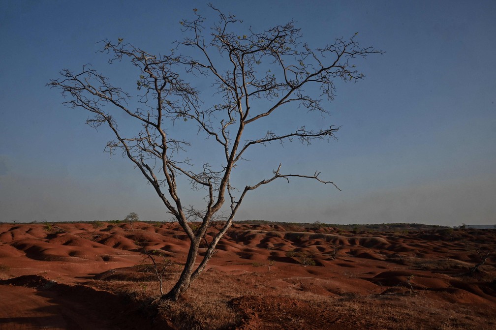 Processo de desertificação de Gilbués começou naturalmente, mas foi agravado pelas mudanças climáticas e pela ação humana — Foto: Nelson Almeida/AFP