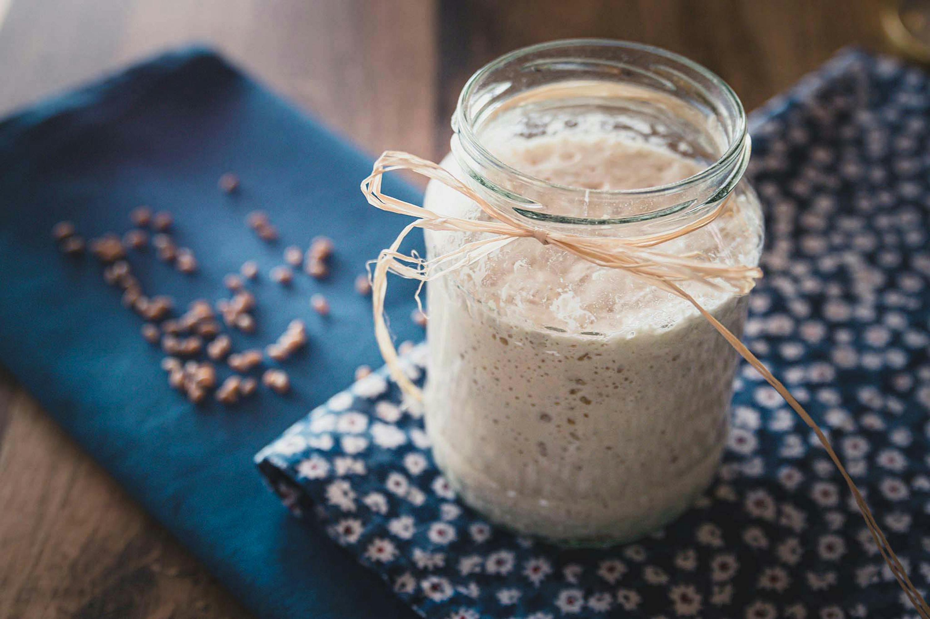 Kefir de água ou de leite? Conheça diferenças, propriedades e benefícios para a saúde