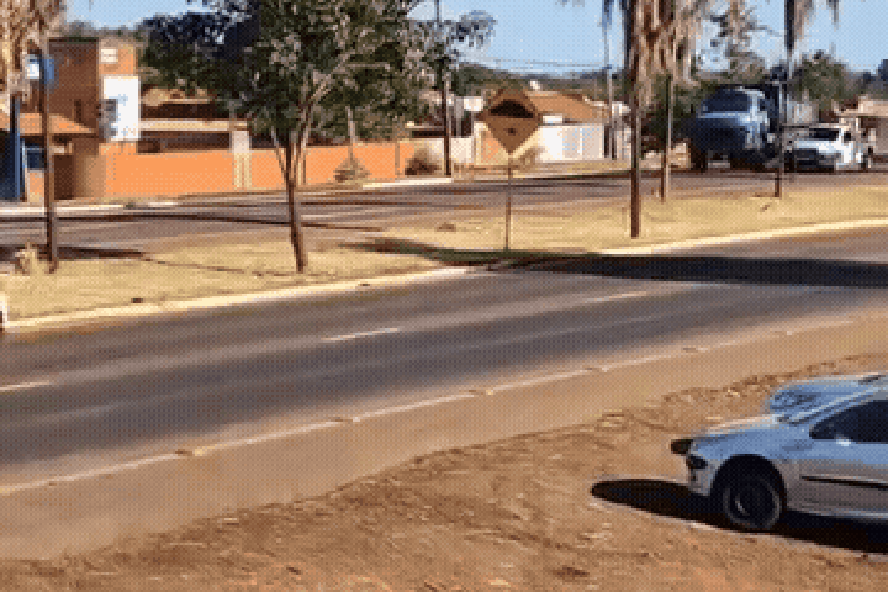 Gif Animado De Arvore Em Crescimento