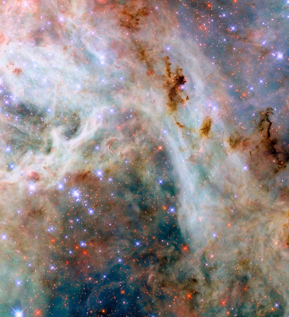 Esta imagen del telescopio espacial Hubble de la NASA muestra un paisaje de nubes en la Gran Nube de Magallanes, una galaxia satlite enana de la Va Lctea Esta imagem do Telescpio Espacial Hubble da NASA mostra uma paisagem de nuvens na Grande Nuvem de Magalhes, uma galxia satlite an da Via Lctea  Foto: ESA/Hubble e NASA, C. Murray - ESA/Hubble