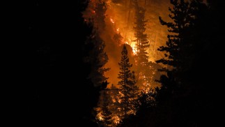 Incêndio florestal atinge Santa Juana, província de Concepcion, no Chile — Foto: JAVIER TORRES/AFP