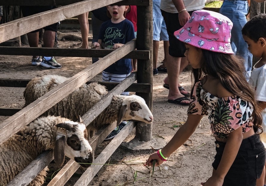 Crianças alimentam os animais na Fazendinha Rio, em Vargem Grande