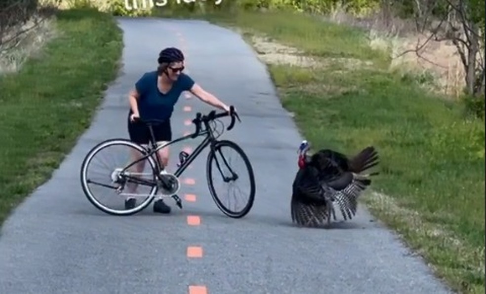 Mulher usa bicicleta para se proteger de ataque de peru nos EUA Reprodução — Foto:         