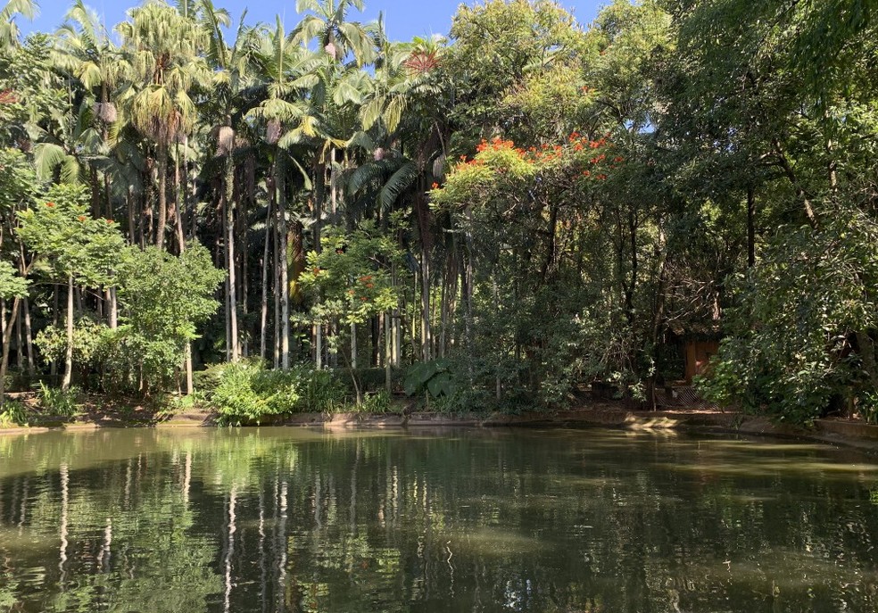 Parque Água Branca: agora, sob gestão privada Agência O Globo — Foto:         