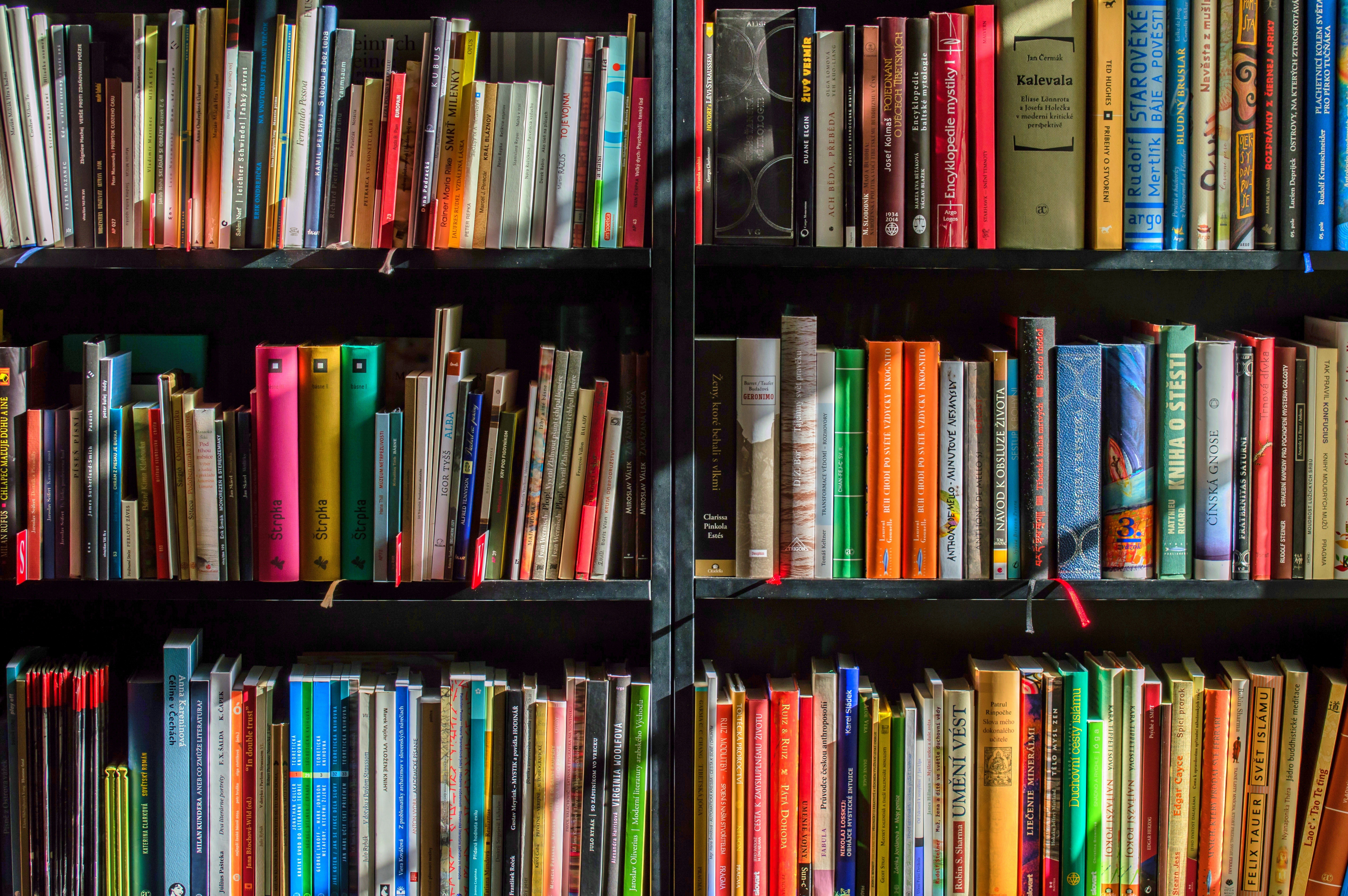 Taxação de livros durante transição da reforma pode custar R$ 270 milhões e repasse a consumidor
