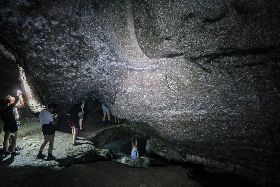 Teia gigante com mais de 100 m² e 111 mil aranhas é encontrada em caverna na fronteira da Grécia com a Albânia — Foto: AFP
