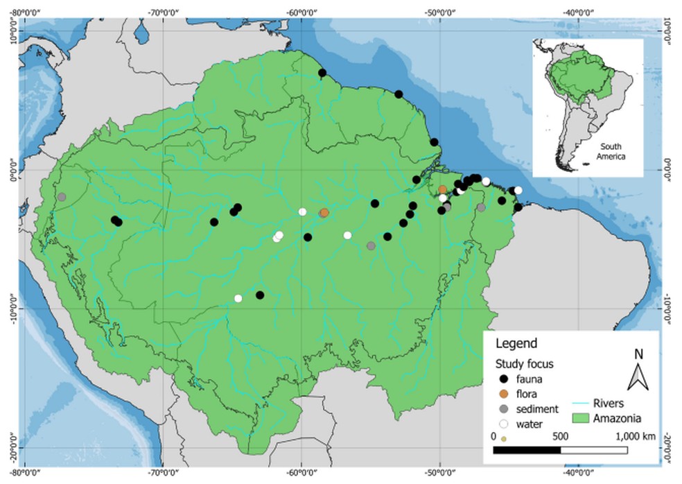 Distribuição geográfica de registros de lixo e fragmentos plásticos no bioma Amazônia — Foto: Reprodução