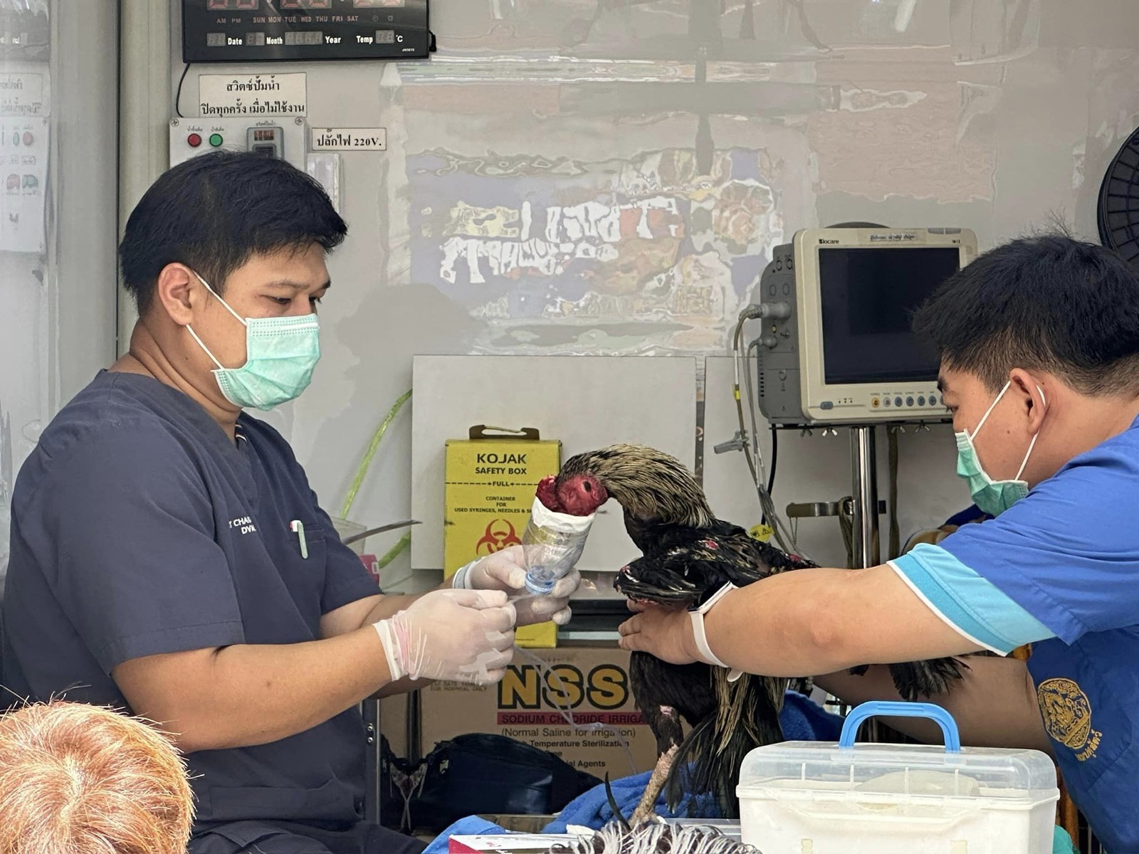 Mãe lamenta morte de médica alagoana em incêndio na Tailândia: 'Coração ...