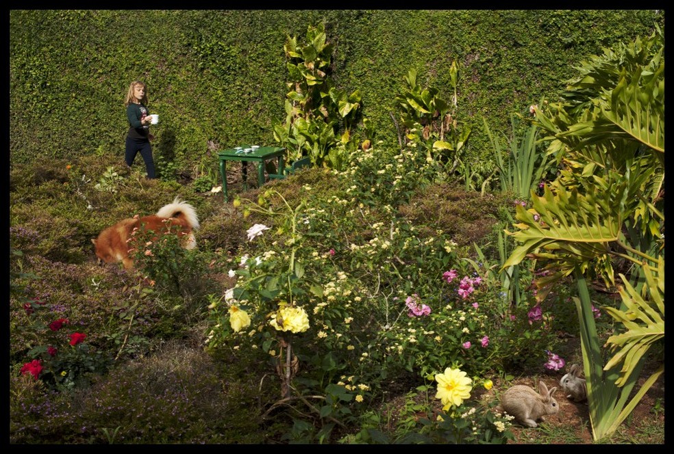 Jardim na exposição "Inocência" de Ana Stewart — Foto: Ana Stewart