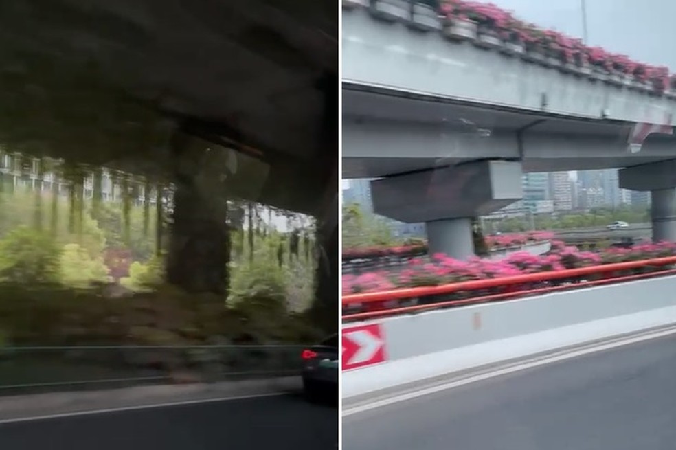 Gestão Nunes se inspirou em viadutos na China para projeto de jardins sob o Minhocão — Foto: Prefeitura