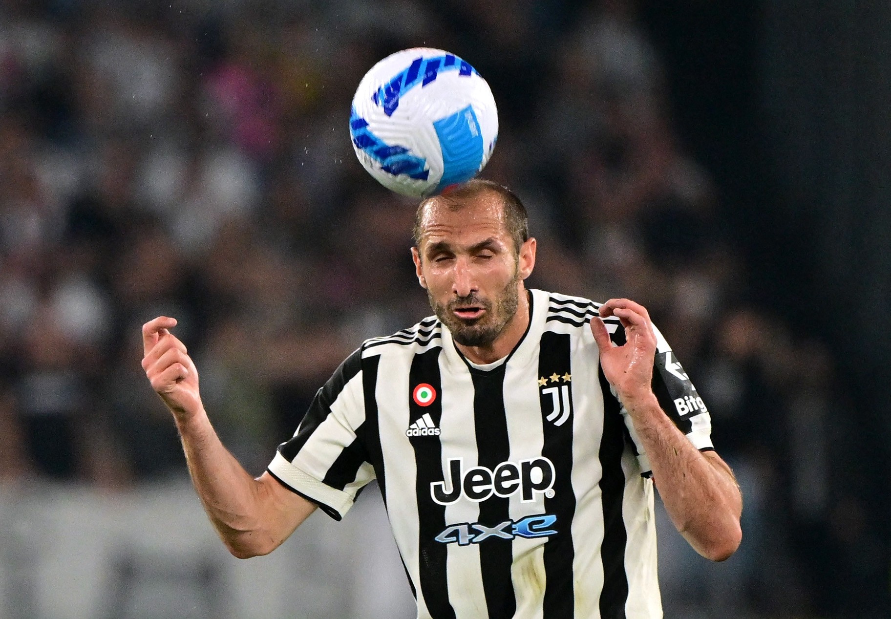 Chiellini surge como favorito para assumir cargo de diretor técnico da Itália